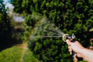 grounds maintenance